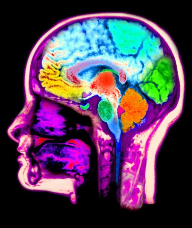 研究结果表明，岛叶皮质在感知和分辨体内、外信号时发挥着重要作用，而且大脑会调低某些信号的“音量”，以更加专注于其他信号。